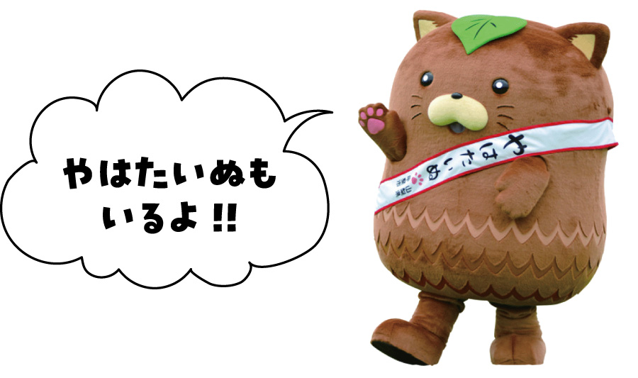 甲斐市ふるさと納税